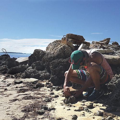 Image of Carlos Santamaria searches for Ligia isopods along a Hawaiian coast